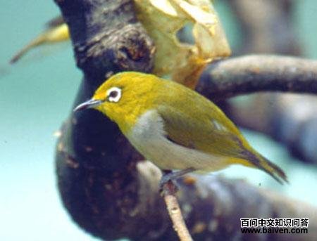 �Ҹ�������