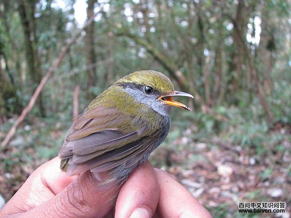 �Ҹ���ݺ��ͼƬ