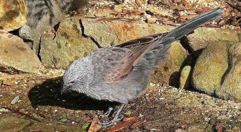 �Ҷ����ѻ��ͼƬ