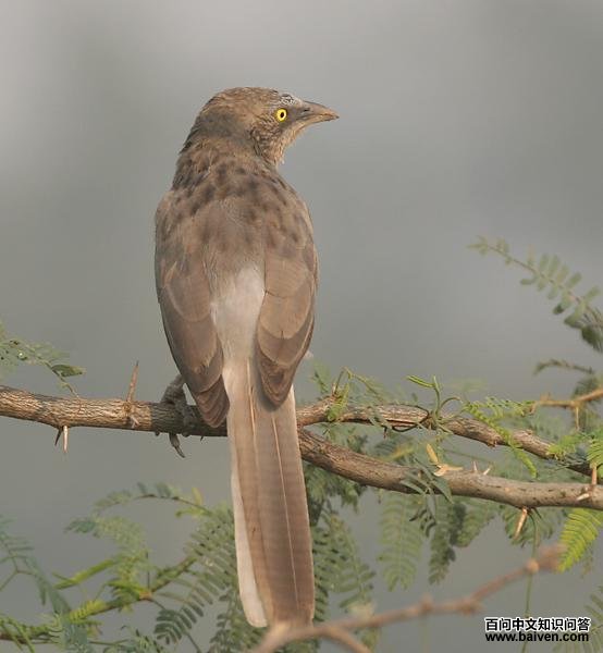 ����̵�ͼƬ