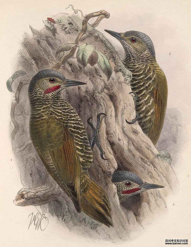 �Ҷ���ľ���ͼƬ