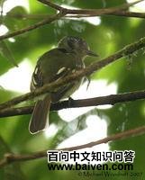 �Ҷ�խ����l