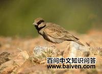 �Ҷ�ȸ�����ͼƬ