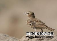 �Ҷ�ȸ����