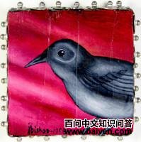 灰窜鸟 灰窜鸟的图片