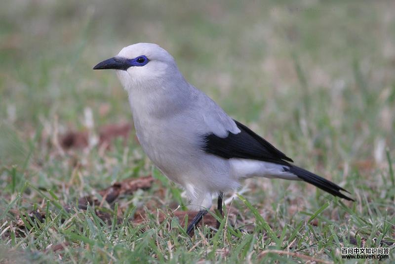 �Ҵ�ѻ��ͼƬ