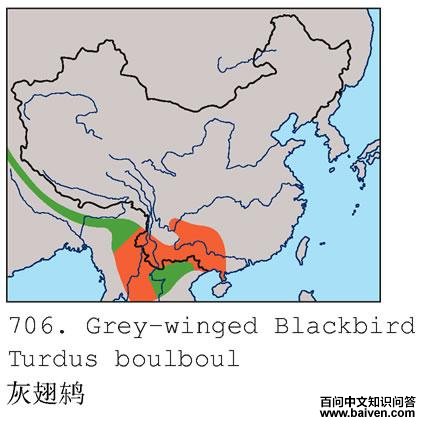 �ҳ�𴣺�����ֲ�ͼ