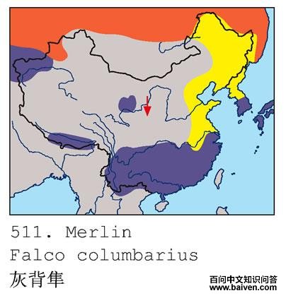 �ұ����������ֲ�ͼ