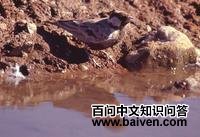 �ұ�ȸ����