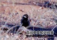 �ұ�ȸ����