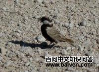 �ұ�ȸ����