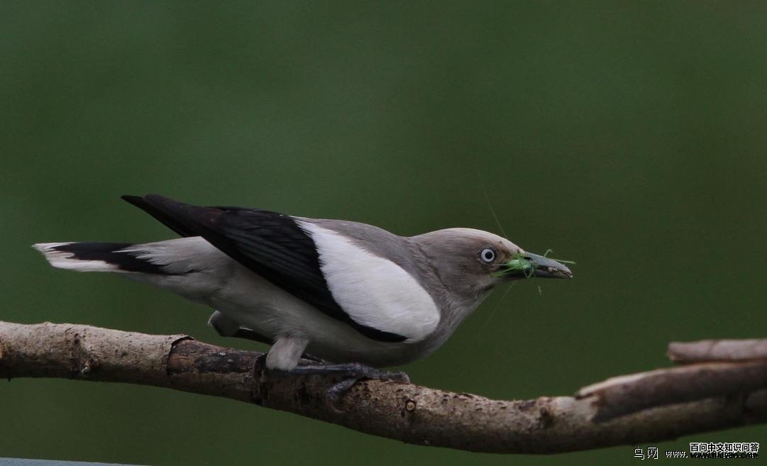 �ұ��������׽�������������ߣ��������ա�2012��5�¡�