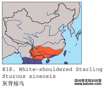 �ұ���񣺵����ֲ�ͼ