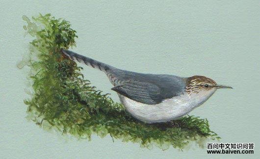 �ұ���������