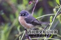 �ұ���߰��l