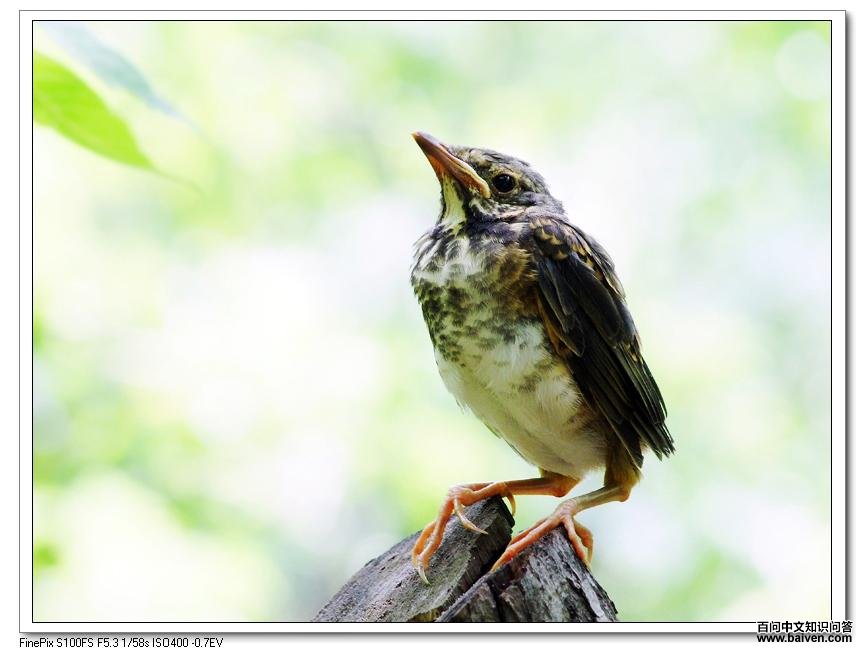 �ұ�𴣺��������