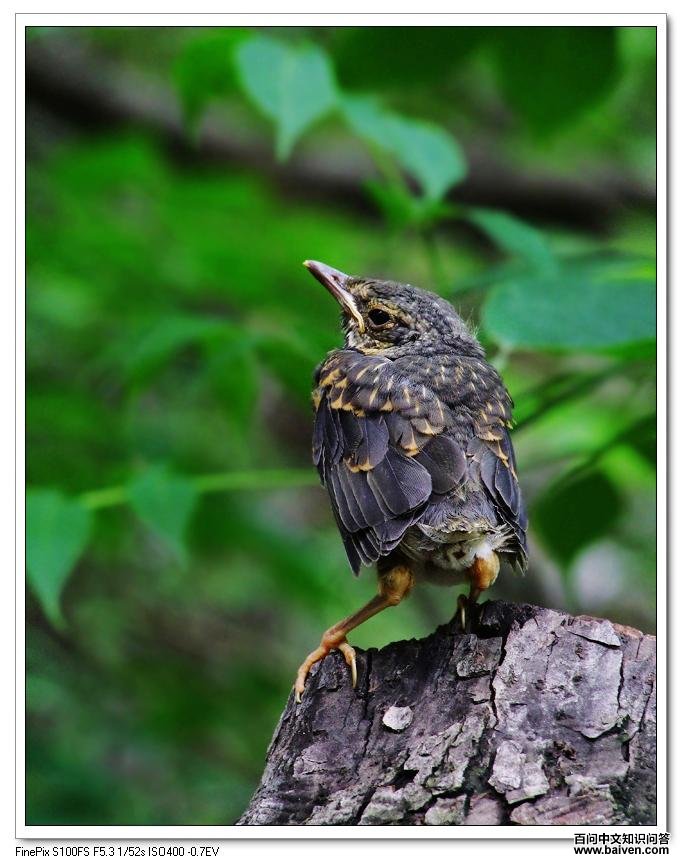 �ұ�𴣺���񣬱���