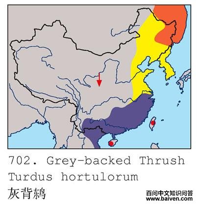 �ұ�𴣺�����ֲ�ͼ