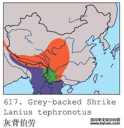 �ұ�����