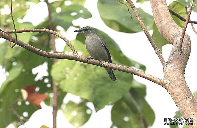 �Ұ׾��V��ͼƬ