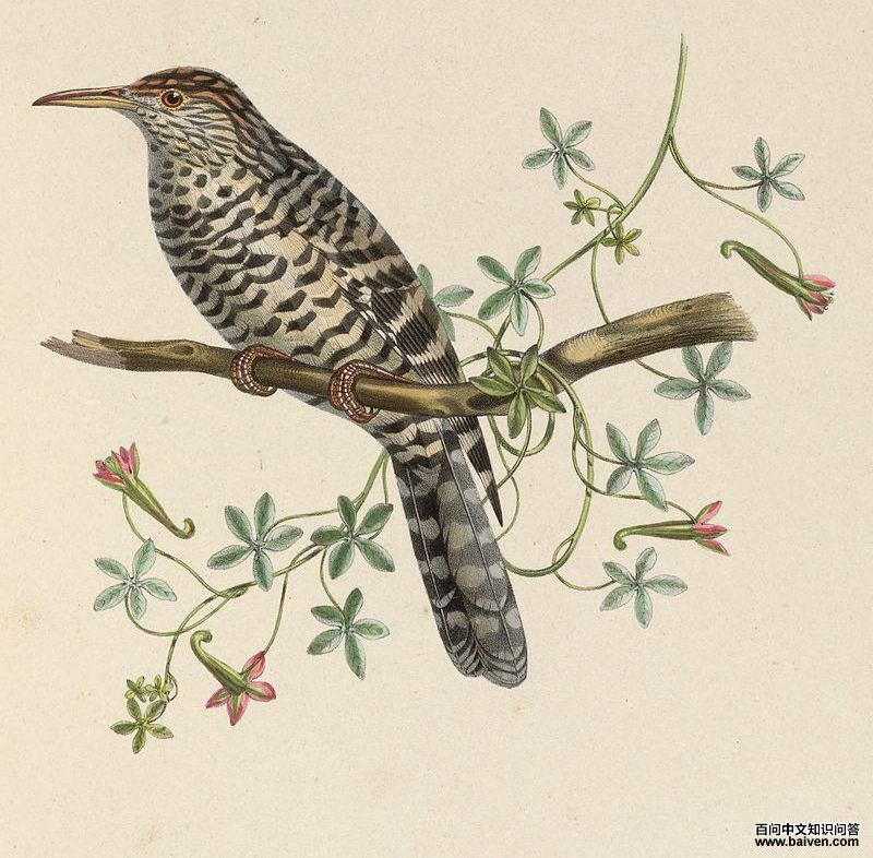 �Ұ��������ӵ�ͼƬ