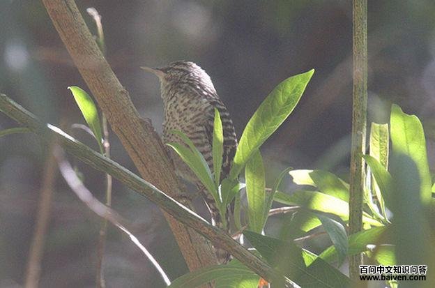 �Ұ���������