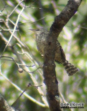 �Ұ���������