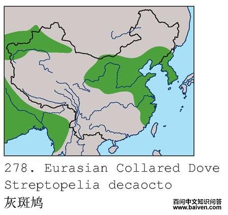 �Ұ�汎�����ֲ�ͼ