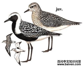 �Ұ��a����̬����ͼ