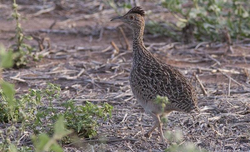 �Ұ�[����]��ͼƬ