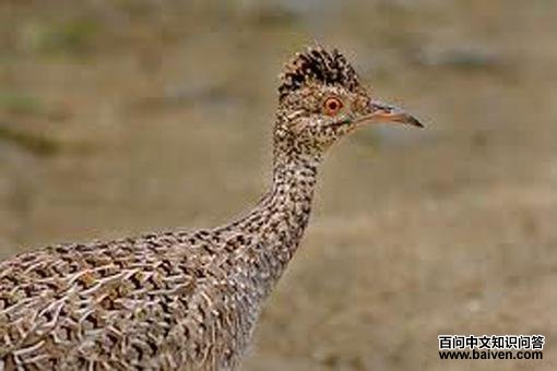 �Ұ�[����]