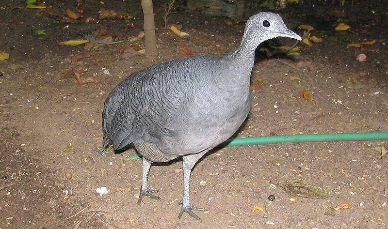 ��[����]��ͼƬ