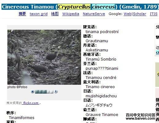 ��[����]