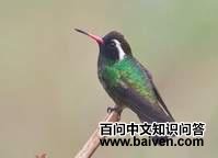 �׶�����