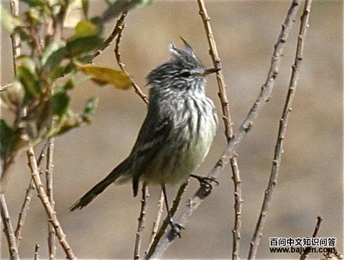 ����ȸ���l��ͼƬ