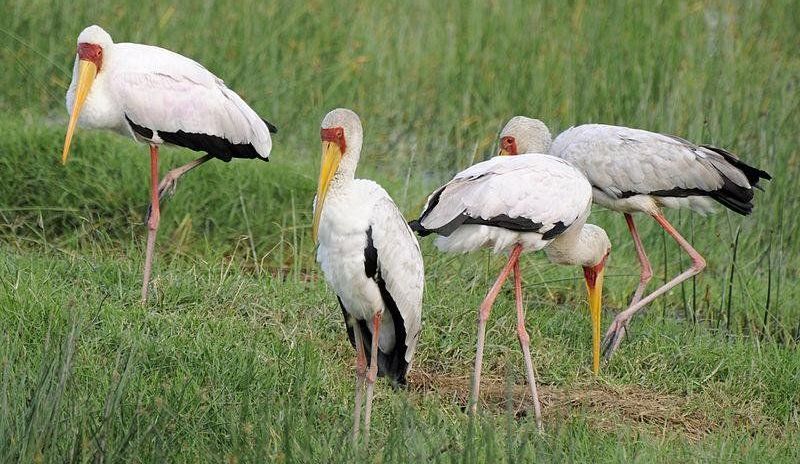 �����q�ٵ�ͼƬ