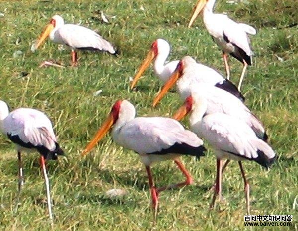 �����q��