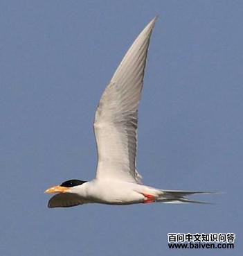 �������Ÿ����ֳ��