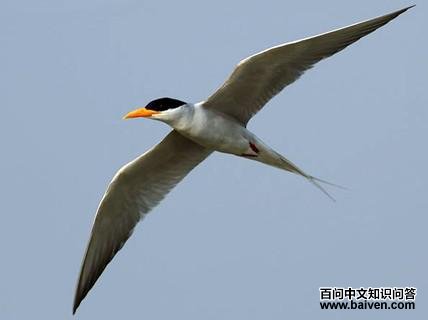 �������Ÿ����ֳ��