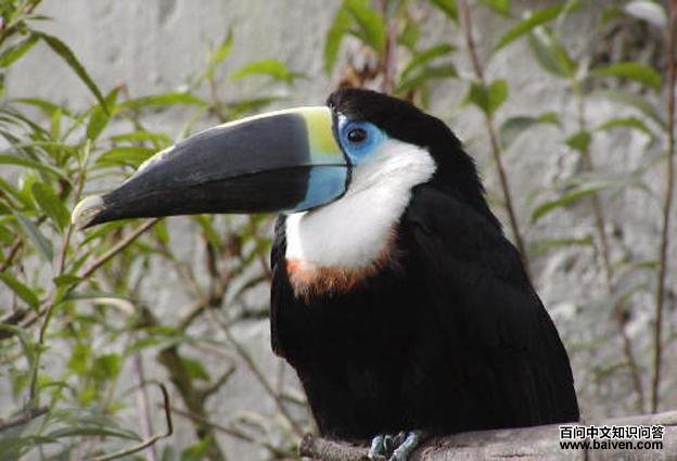 �����������ͼƬ