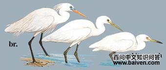 ������أ���̬����ͼ