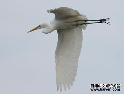 ����أ����ɫ����צȫ��