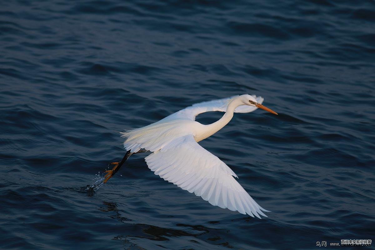 ������أ����߿���˹�����������㽭��2012-04