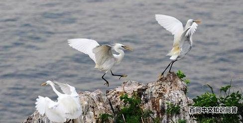 ��¿���ϵĻ������