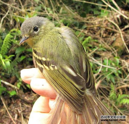 ����Ե���l