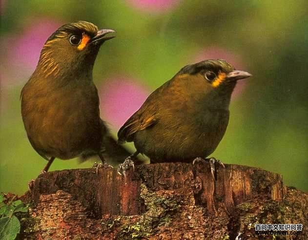 ����޴��