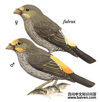 ������������ͼƬ