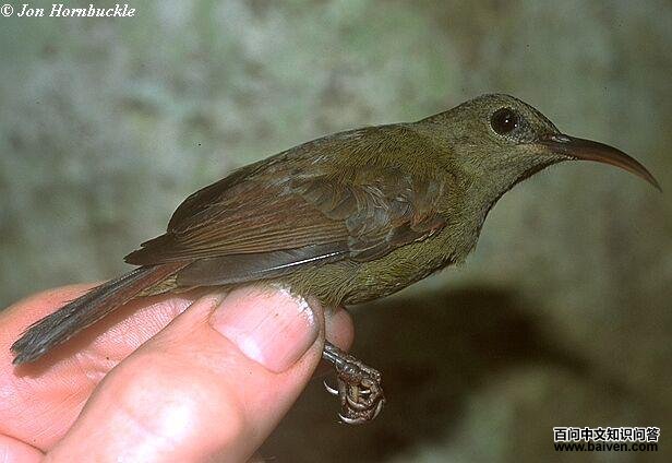 ����̫���񣺴���