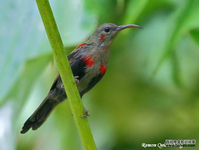 ����̫������������