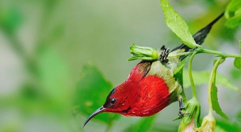 ����̫����